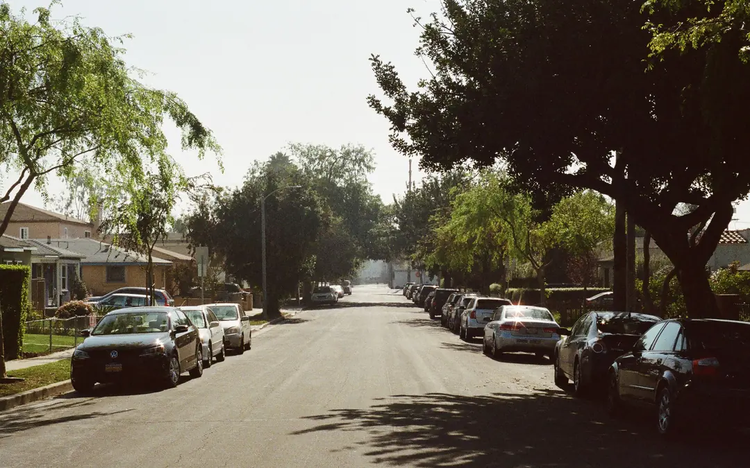 Tree-shaded residential street in the San Fernando Valley