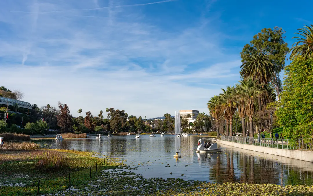 Paddle boats and the fountain on Echo Park Lake in Echo Park, CA