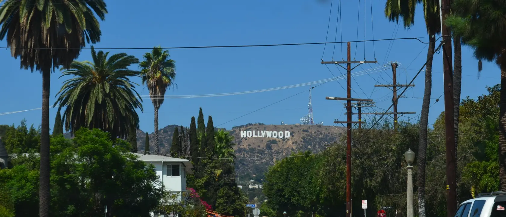 Palm-lined street looking toward the Hollywood Sign in Hollywood, CA