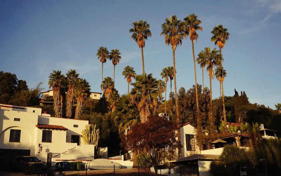 Spanish-style homes and tall palms on a sunny Los Angeles street