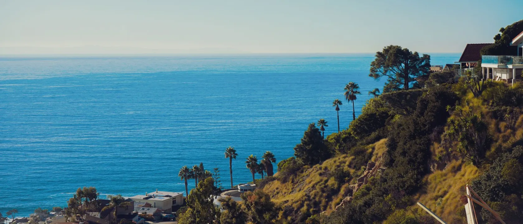 Sunny Southern California coastline with palm-covered bluffs above the Pacific