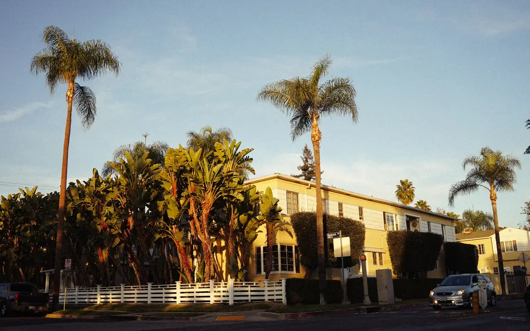 Mid-century apartment building framed by tall palms in Los Angeles